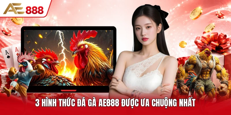 3 hình thức đá gà AE888 được ưa chuộng nhất 3 hình thức đá gà AE888 được ưa chuộng nhất