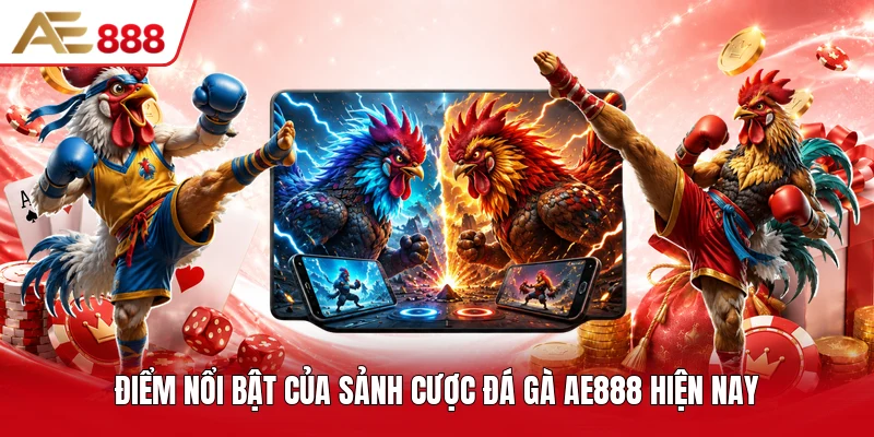 Điểm nổi bật của sảnh cược đá gà AE888 hiện nay Điểm nổi bật của sảnh cược đá gà AE888 hiện nay